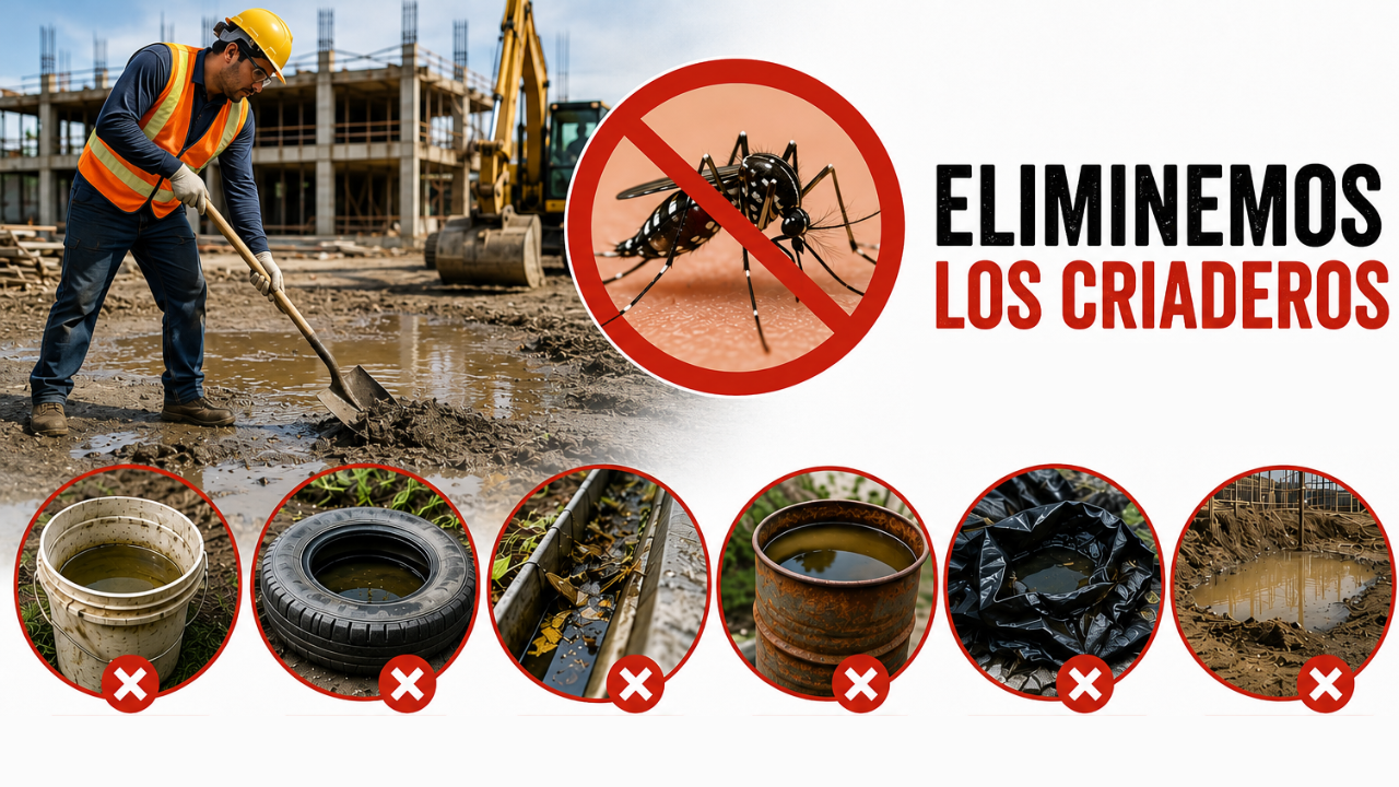 Mosquitos: Cómo Prevenir Enfermedades en el Lugar de Trabajo